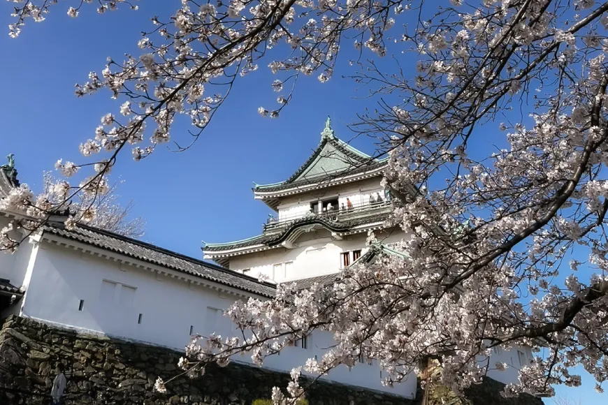 和歌山城と桜　2023年